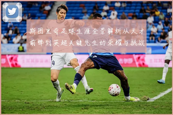 斯图里奇足球生涯全景解析从天才前锋到英超关键先生的荣耀与挑战-深度解析