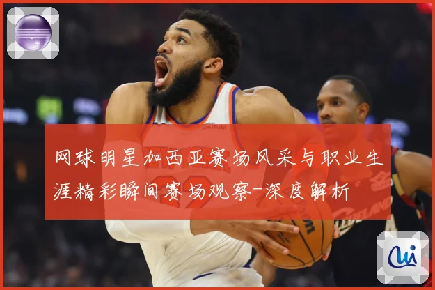 网球明星加西亚赛场风采与职业生涯精彩瞬间赛场观察-深度解析
