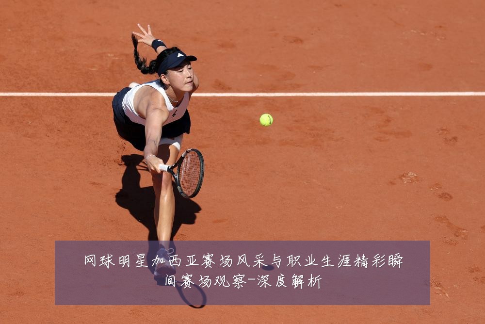 网球明星加西亚赛场风采与职业生涯精彩瞬间赛场观察-深度解析